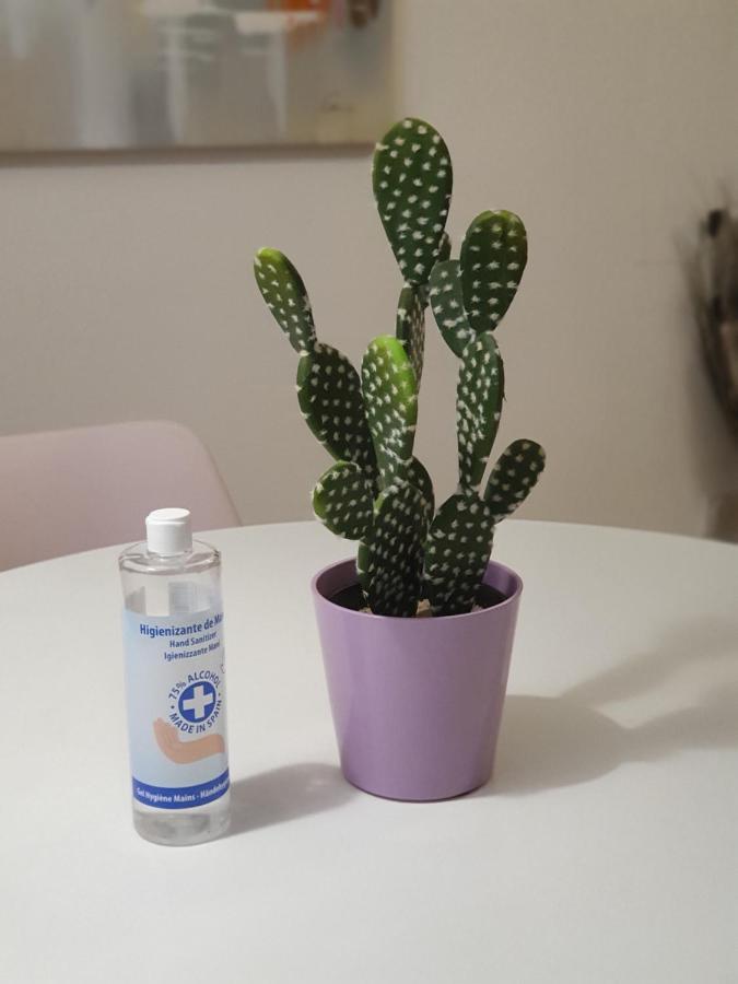 巴斯蒂亚A Citadella公寓 外观 照片